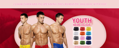 METOIN Mens Boxer Briefs Breathable Hot Mesh Underwear
